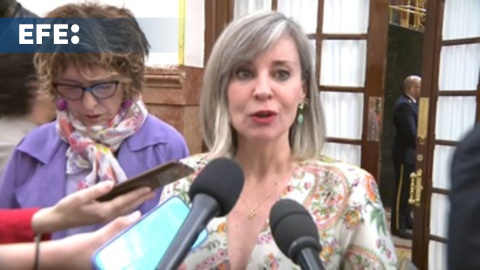 Sumar afirma que hará lo posible para que la ley de embargo de armas a Israel vea la luz Sumar afirma que hará lo posible para que la ley de embargo de armas a Israel vea la luz