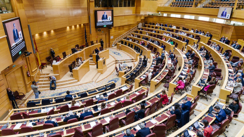 La sesión de control al Gobierno, en el Senado, a 20 de mayo de 2025, en Madrid (España). La sesión de control al Gobierno, en el Senado, a 20 de mayo de 2025, en Madrid (España).