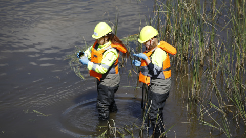 Labores de control de la mosca negra en el río Manzanares (Madrid).