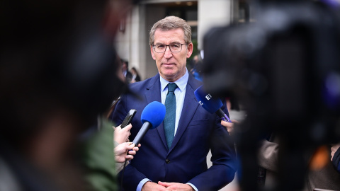 El presidente del PP, Alberto Núñez Feijóo, en Bruselas en marzo del año pasado. El presidente del PP, Alberto Núñez Feijóo, en Bruselas en marzo del año pasado.