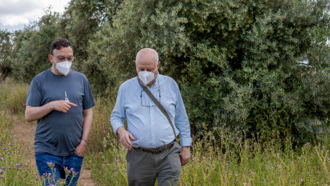 Dos personas utilizan mascarilla mientras pasean cerca de olivos en flor, en Jaén, a 20 de mayo de 2025.