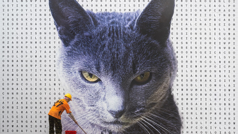 Un trabajador limpia la acera delante del retrato de un gato en Hong Kong Un trabajador limpia la acera delante del retrato de un gato en Hong Kong