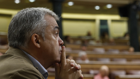 El diputado socialista Santos Cerdán, durante la sesión de control al Ejecutivo este miércoles en el Congreso