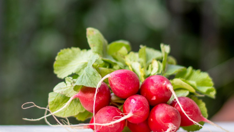 Qué plantar en junio para cosechar en verano y otoño