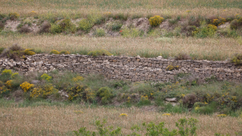 Un marge de pedra seca a la Conca de Barberà Un marge de pedra seca a la Conca de Barberà