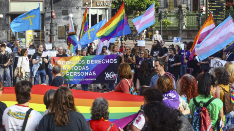 El movimiento social apura al Gobierno asturiano a aprobar la Ley LGTBI autonómica El movimiento social apura al Gobierno asturiano a aprobar la Ley LGTBI autonómica