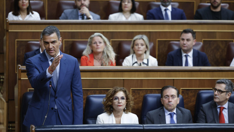 Pedro Sánchez Pedro Sánchez, durante la sesión de control.