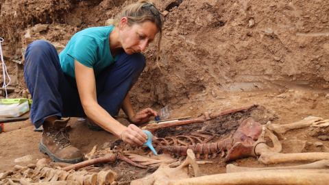Les restes humanes localitzades durant l'excavació a la fossa de Castellnou de Bages Les restes humanes localitzades durant l'excavació a la fossa de Castellnou de Bages