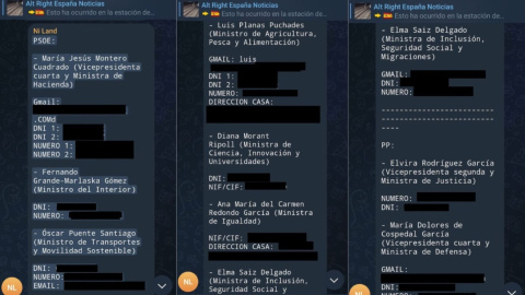 Chats de Alvise Mensajes con datos personales de ministros en el canal de Telegram de Alvise Pérez.
