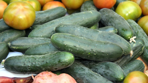 Cogombres i altres verdures Cogombres i altres verdures
