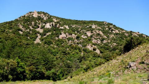 Pla general d'una zona de les muntanyes de Prades