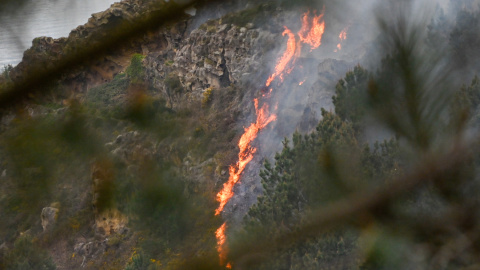 EuropaPress_6593696_operativos_trabajan_incendio_forestal_jaizkibel_20_marzo_2025_pasaia Foto de ARCHIVO de operativos trabajan en un incendio forestal de Jaizkibel (Guipúzcoa) el pasado 20 de marzo de 2025.
