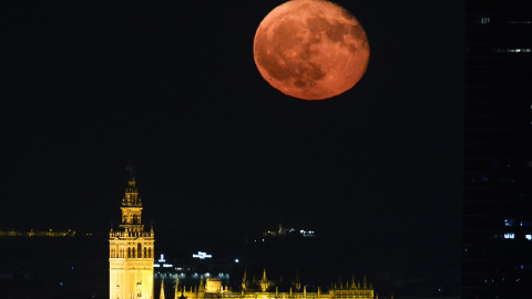 EuropaPress_6103457_superluna_ciervo_fenomeno_astronomico_ocurre_cuando_luna_llena_julio (1) (Foto de ARCHIVO)La “Superluna del Ciervo” es un fenómeno astronómico que ocurre cuando la luna llena de julio coincide con el perigeo, el punto en la órbita de la Luna en el que está más cerca de la Tierra, a 22 de julio de 2024 en Sevilla (Andalucía, España) La “Superluna del Ciervo” se ha podido ver hoy en Sevilla tras la Catedral y Torre SevillaJoaquin Corchero / Europa Press23 JULIO 202422/7/2024