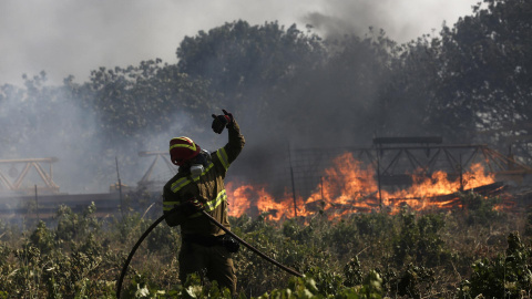 Un bombero intenta extinguir un incendio forestal cerca de las zonas de Pikermi y Spata, al este de Atenas, Grecia.