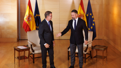 Imagen de archivo del líder del PP, Alberto Núñez Feijóo y el líder de VOX, Santiago Abascal. Imagen de archivo del líder del PP, Alberto Núñez Feijóo y el líder de VOX, Santiago Abascal.