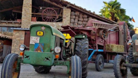 A partir de les 7 del matí es farà la sega a mà amb l'acompanyament d’artistes que pintaran els quadres de la festa en viu