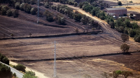 Zona cremada per l'incendi de Torrefeta i Florejacs
