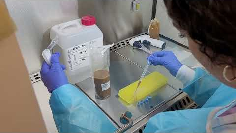 Banc de Microbiota de Catalunya Seu Clínic VL2025