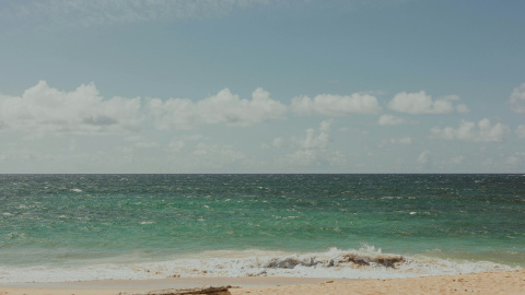 megan-nixon-i8otk3PCvWQ-unsplash Los veranos, como las navidades, tienen su propia melodía.