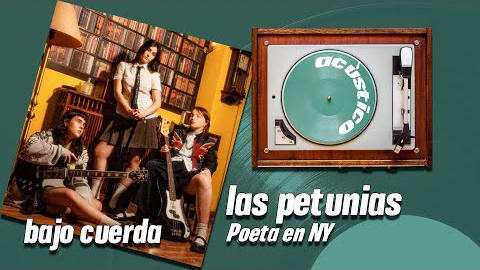 Tras publicar su primer elepé, Creo que soy de porcelana, la emergente banda madrileña Las Petunias ficha por Sonido Muchacho, donde militan Carolina Durante, Sen Senra, Cariño o Hinds.

Nuestro periodismo es posible gracias a nuestros suscriptores. Únete a la República de Público y defiende el periodismo valiente, feminista y de izquierdas: https://bit.ly/3REUOTN

Periodismo, investigación y compromiso para construir un mundo más igualitario.
¡Suscríbete ya a nuestro canal!: https://bit.ly/2U8nM0q
Visita: https://www.publico.es
Síguenos en Facebook: https://www.facebook.com/diario.publico/
Síguenos en Twitter: https://twitter.com/publico_es
Síguenos en Instagram: https://www.instagram.com/publico.es
Síguenos en TikTok: https://www.tiktok.com/@publico_es
Síguenos en Bluesky: https://bsky.app/profile/publico.es