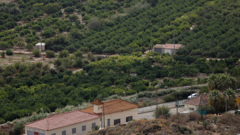 EuropaPress_3960684_vista_aerea_huerta_comarca_huerta_murcia_24_septiembre_2021_municipio Vista aérea de una huerta en Murcia. Archivo.