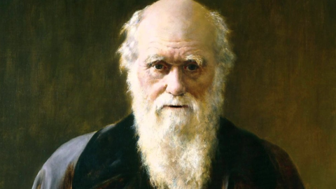 Retrato de Charles Darwin. Retrato de Charles Darwin.