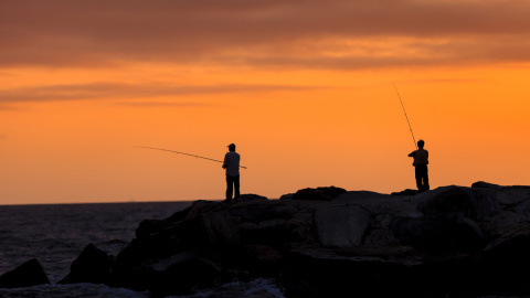 La pesca recreativa ens permet gaudir del mar, la costa i la seva biodiversitat