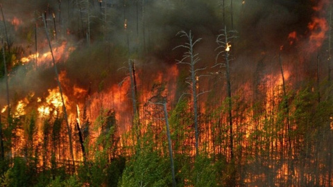 Incendios en España: situación actual y últimas noticias Incendios en España: situación actual y últimas noticias