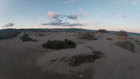 DELTA DE L' EBRE  **  Bassa de les Olles - Platja de l'Arenal  ** 001