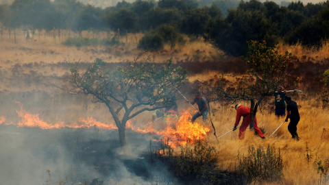 Varios vecinos tratan de apagar un fuego en Abejera de Tabara, Zamora, a 13 de agosto de 2025.