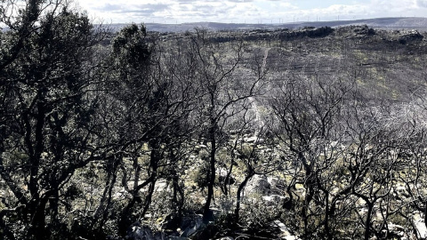 IU reclama el cese del consejero de Medio Ambiente y pide responsabilidades a Mañueco por la crisis de incendios IU reclama el cese del consejero de Medio Ambiente y pide responsabilidades a Mañueco por la crisis de incendios