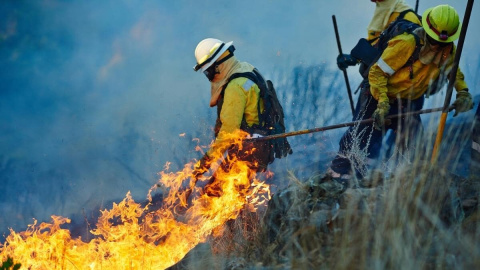CCOO denuncia la situación de los bomberos forestales con sueldos cercanos al SMI y jornadas extenuantes CCOO denuncia la situación de los bomberos forestales con sueldos cercanos al SMI y jornadas extenuantes