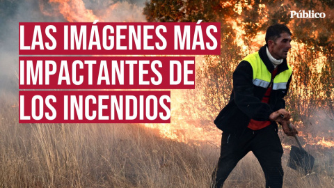 El fuego quema España ante la impotencia de los vecinos: "No ardimos de pura casualidad" Los incendios forestales vuelven a golpear con fuerza a nuestro país. Coincidiendo con las olas de calor extremas que azotan la península, esta semana el país sufre una veintena de incendios de gran magnitud. León, Zamora, Ourense, Cáceres, Cádiz o Madrid son algunas de las provincias que han sufrido el fuego, que ya ha dejado al menos siete heridos graves y dos víctimas mortales, un trabajador de la hípica de Tres Cantos (Madrid) y un voluntario que luchaba en las labores de extinción en Molezuelas (Zamora).
Nuestro periodismo es posible gracias a nuestros suscriptores. Únete a la República de Público y defiende el periodismo valiente, feminista y de izquierdas: https://bit.ly/3REUOTN
Periodismo, investigación y compromiso para construir un mundo más igualitario.
¡Suscríbete ya a nuestro canal!: https://bit.ly/2U8nM0q
Visita: https://www.publico.es
Síguenos en Facebook: https://www.facebook.com/diario.publico/
Síguenos en Twitter: https://twitter.com/publico_es
Síguenos en Instagram: https://www.instagram.com/publico.es
Síguenos en TikTok: https://www.tiktok.com/@publico_es
Síguenos en Bluesky: https://bsky.app/profile/publico.es