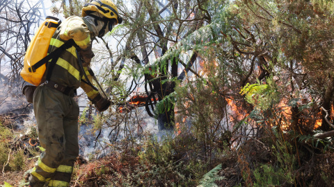 extincion-incendios-bomberos Bomberos trabajan en la extinción de un incendio.