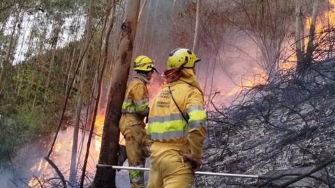 Cantabria activa el PLATERCANT en fase de preemergencia para colaborar con otras comunidades afectadas por incendios