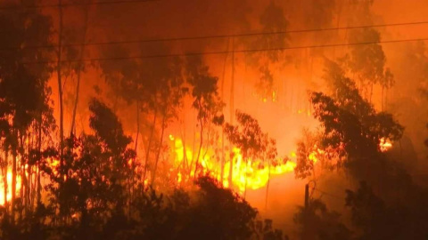 Europa en llamas: miles de bomberos y voluntarios trabajan para combatir los trágicos incendios forestales Europa en llamas: miles de bomberos y voluntarios trabajan para combatir los trágicos incendios forestales