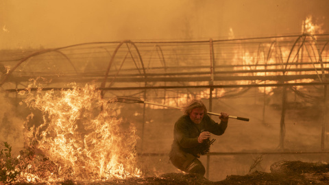 Un guarda forestal lucha contra las llamas el pasado domingo en el incendio de Carballeda de Avia (Ourense).