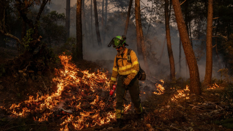 Un bombero en las tareas de extinción en Galicia, a 17 de agosto de 2025. Un bombero en las tareas de extinción en Galicia, a 17 de agosto de 2025.
