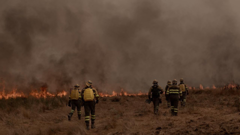 Casi 300.000 hectáreas arrasadas por incendios en España hasta agosto de 2025 Casi 300.000 hectáreas arrasadas por incendios en España hasta agosto de 2025