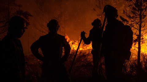 Un grupo de bomberos forestales. Un grupo de bomberos forestales.