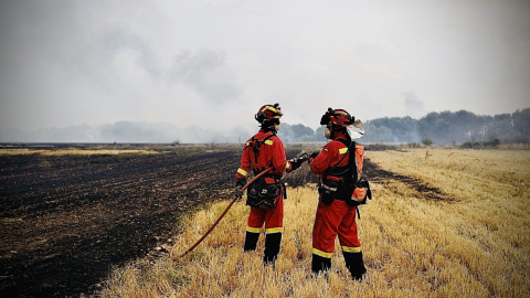 El Gobierno declara zonas de emergencia en los territorios arrasados por los incendios El Gobierno declara zonas de emergencia en los territorios arrasados por los incendios