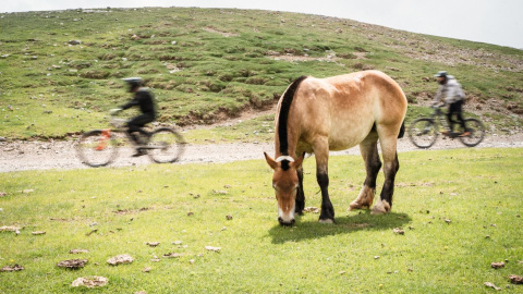 El Bike Park de La Molina, inaugurat el 2004, és el més gran d'Espanya