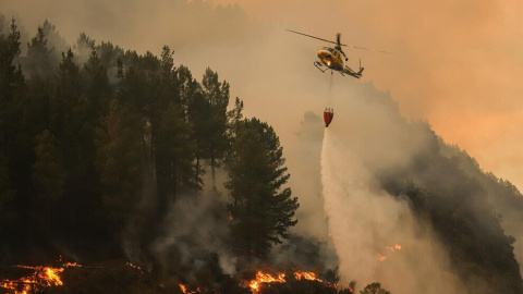 Cantabria registra en Liébana un incendio originado en Palencia Cantabria registra en Liébana un incendio originado en Palencia