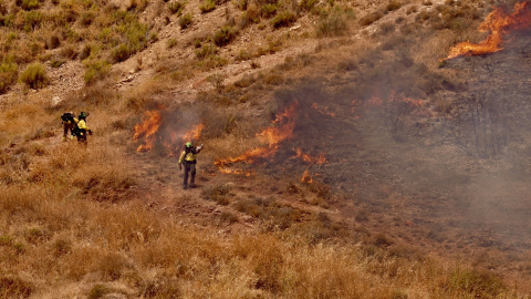 EuropaPress_6927704_medios_terrestres_luchan_contra_llamas_incendio_declarado_lunes_paraje Medios terrestres luchan contra las llamas en un incendio en el paraje de Monte Coronado en Málaga capital.