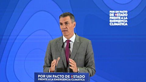 El president del govern espanyol, Pedro Sánchez, en una imatge recent El president del govern espanyol, Pedro Sánchez, en una imatge recent