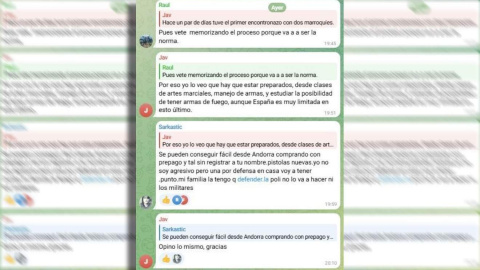 0 (1) Captura de pantalla de algunos de los mensajes publicados en el foro de Democracia Nacional en Telegram.