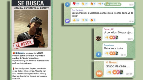 c1 Captura de pantalla de los mensajes publicados en el chat de Alvise Pérez en Telegram.