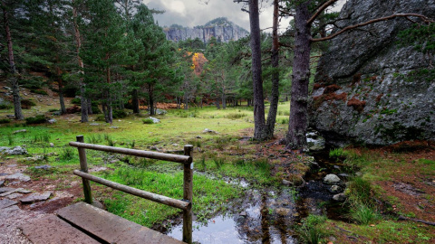 Arroyo y puente de madera en los Picos Urbión, Soria