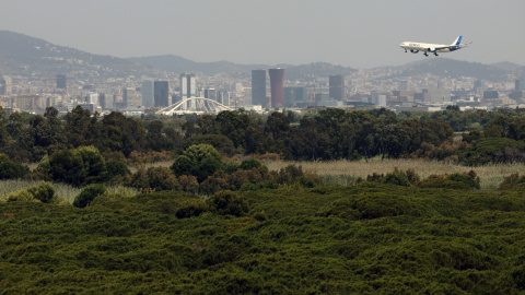 Un avió es disposa aterrant a l'aeroport del Prat