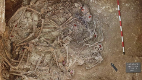 fotonoticia_20250922150548_1200 Restos de 71 personas en una fosa común en el cementerio de Cañada Rosal, Sevilla.